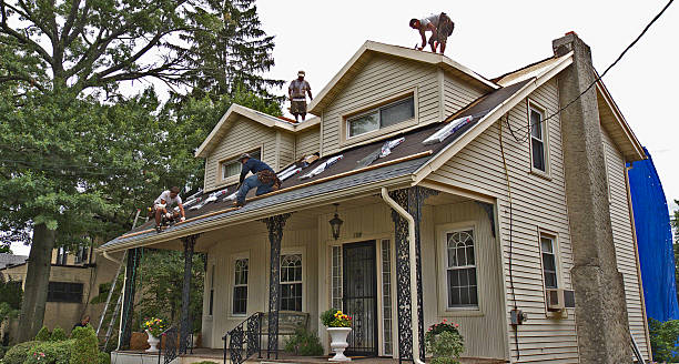 Quick and Trustworthy Emergency Roof Repair Services in Albert Lea, MN